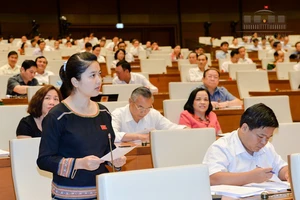 “Đất rừng còn mang bán, trồng rừng bằng niềm tin sao?"