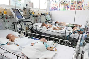 Báo động viêm não Nhật Bản tăng vọt cả nước 