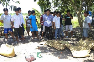 Triệt xóa tụ điểm đá gà liên tỉnh