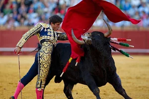 Những lễ hội ‘đẫm máu’ nhưng khó bỏ