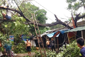 Nghệ An, Thanh Hóa tan hoang sau bão số 2