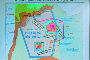 Chọn đổ 1 triệu m3 gần Hòn Cau là để ‘giảm chi phí’