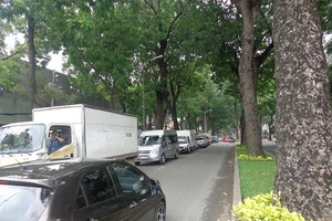 Xử lý hàng cổ thụ để xây cầu Thủ Thiêm 2