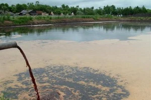 Nuôi heo xả nước thải gây ô nhiễm, mức phạt sao?