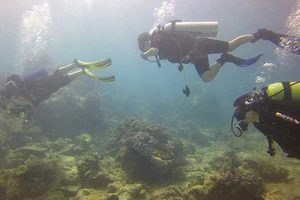 Bình Thuận đề xuất phương án sử dụng vật chất nạo vét