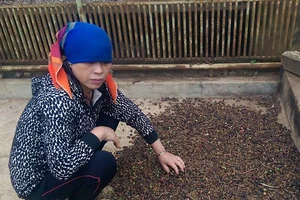 Thư ký không nhận lỗi, chánh án yêu cầu kiểm điểm lại