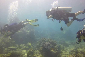 Bình Thuận kiến nghị không nhận chìm xuống biển 