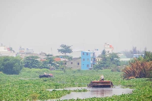 Thủ tướng yêu cầu báo cáo vụ dừng tài trợ 400 triệu USD