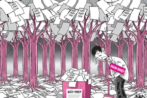 Hí họa trong tuần