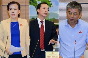 Sai phạm của Mường Thanh, Lê Trực, trách nhiệm do ai? 