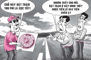 Hí họa trong tuần