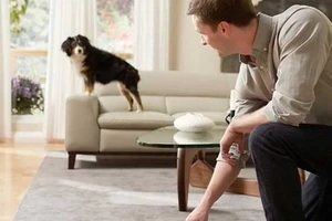 ‘Nội gián’ Roomba