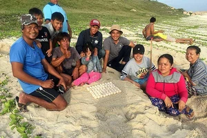 Hòn Cau, ngày trở lại