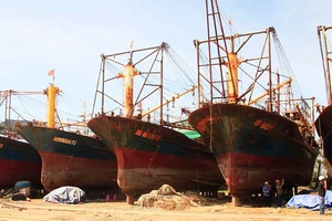 Vụ tàu vỏ thép: 'Làm giả dối như vậy là không được!'