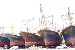 Công ty đóng tàu vỏ thép đòi kiện ngư dân
