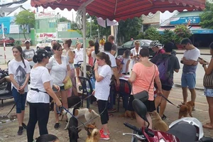 Dân Thảo Điền bức xúc vì chó chết hàng loạt