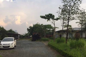 Bi đát với dự án bảo tàng 11.000 tỉ đồng