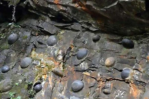 Vách đá kỳ lạ có khả năng ‘đẻ trứng’