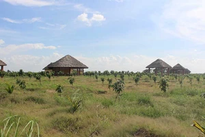 Lấy đất dự án du lịch để... nuôi cá tra