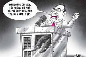 Hí họa trong tuần