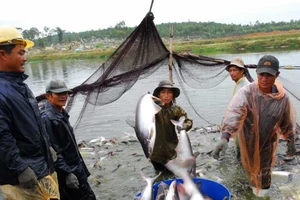 Phải dẹp tình trạng quy hoạch chồng chéo ở ĐBSCL 
