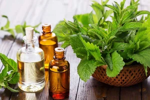 Trị hôi nách với cây lá quanh nhà