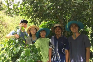 Người sở hữu giống cà phê số một châu Á