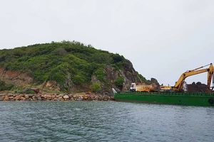 Trồng rừng hay ‘xẻ thịt’ Hòn Rùa?