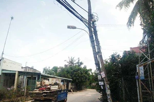 Cột điện dựa cây dừa