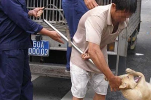 Chuyện dài việc nuôi chó ở thành phố