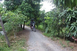 ‘Nói tôi vượt quyền là chưa đúng thực tế’