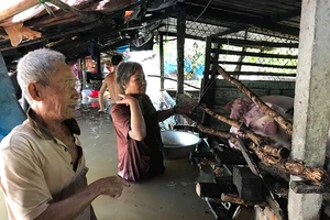 Vỡ bờ bao sông Hậu, nhà dân chìm trong nước