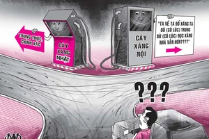 Hí họa trong tuần