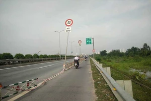 Con lươn đứt khúc