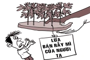 Mua phải rẫy mì… vịt giời