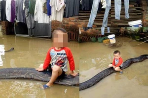 Cậu bé 3 tuổi cưỡi trăn gây sốt báo nước ngoài