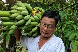 Hành trang quê nhà của Võ Đắc Danh