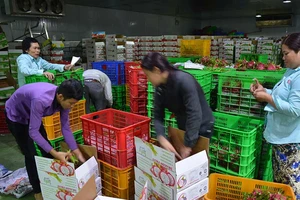 Thị trường Trung Quốc thay đổi, nhiều DN Việt lao đao