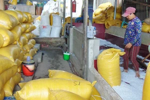 Khổ không chịu nổi vì ở gần xưởng xay nhựa