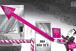 Hi họa trong tuần