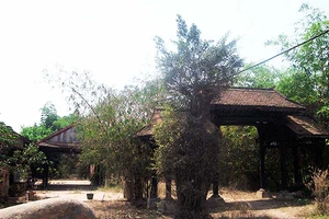 Làng nghề Củ Chi ách tắc 13 năm vì quy hoạch thay đổi