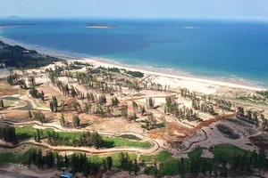 Phú Yên kiểm tra toàn bộ dự án liên quan đến rừng