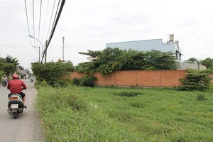 Đề nghị phát triển TP.HCM về hướng Gia Định - Củ Chi