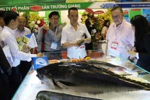 Việt Nam bị phạt thẻ vàng thủy sản, EU nói gì?