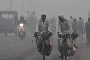 New Delhi đóng cửa tất cả trường học vì ô nhiễm