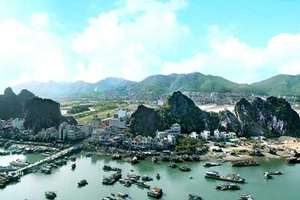 Tranh cãi bộ máy hành chính cho các đặc khu