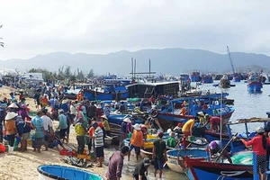 Khánh Hòa gượng dậy sau bão