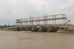 Cống ngăn mặn 150 tỉ mới xây đã hỏng