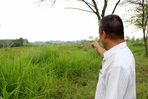 Hoang mang vì ‘cò’ dồn dập hỏi mua đất