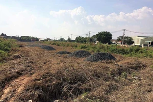 Vừa tố cáo vừa khởi kiện được không?